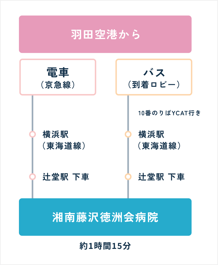 飛行機をご利用の場合